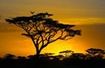 Sunse in Africa